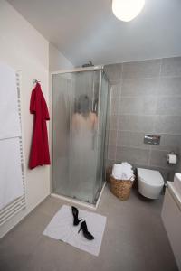 łazienka z prysznicem i czarnym kotem leżącym na ręczniku w obiekcie Villa Drosera s wellnessom, Račkova dolina v Západných Tatrách w Przybylinie