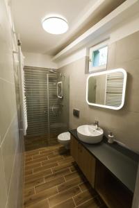 a bathroom with a toilet and a sink and a shower at Lubi Lodge in Balatonboglár