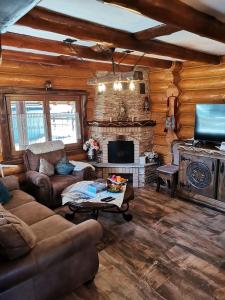 a living room with a couch and a fireplace at CASA de POVESTE in Suceviţa +11 photos