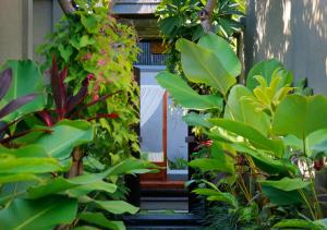 an entrance to a garden with green plants at Seminyak Icon - by Karaniya Experience - CHSE certified in Seminyak