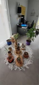 ベルフォンテーヌにあるChez Papyの鉢植えの植物が床に並ぶ部屋