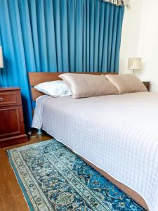 a bedroom with a bed and a blue curtain at Kamerlingh Villa in Oranjestad