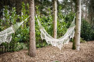 Zahrada ubytování StayatSas Sam, middenin het bos, kindvriendelijk, stijlvol ingericht, parkeren naast het huisje,veel privacy, ruime tuin