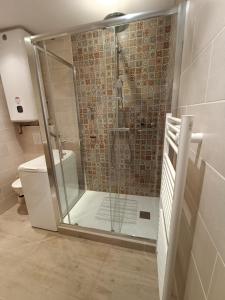 a bathroom with a shower with a glass door at Barcelonnette studio 2 personnes in Barcelonnette