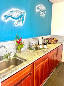 a kitchen with a sink and a counter with turtles on the wall at Hilltop Boutique Hotel in Victoria