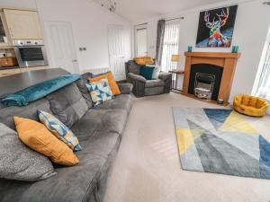 a living room with a couch and a fireplace at Nevaeh Lodge in Morpeth