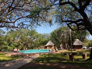 a group of people sitting in a swimming pool at Matumi Self Catering in Marloth Park