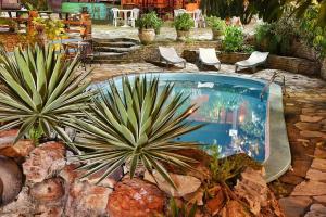 una piscina con un montón de plantas en un patio en Chalet Suisse en Natal