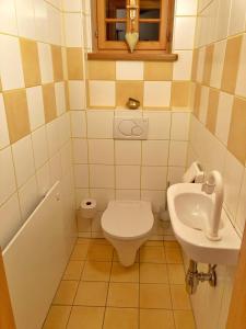 a small bathroom with a toilet and a sink at Kellerstöckl Weber in Güssing