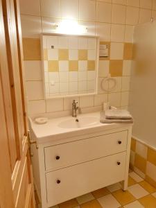 ein Bad mit einem Waschbecken und einem Spiegel in der Unterkunft Kellerstöckl Weber in Güssing