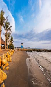 a beach with rocks and palm trees on the shore at Dreams Karibana Cartagena Golf & Spa Resort in Cartagena de Indias
