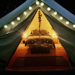 a bedroom with a bed in a tent with lights at Garden County Glamping in Newtown Mount Kennedy
