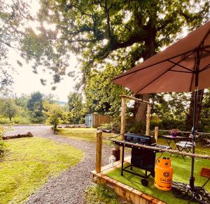 a picnic table with an umbrella and a grill at Garden County Glamping in Newtown Mount Kennedy