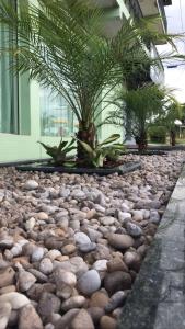 einen Gehweg mit Felsen und Pflanzen vor einem Gebäude in der Unterkunft Hotel Rio in Tucuruí