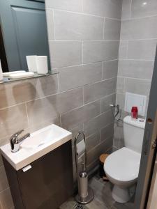 ein Badezimmer mit einem WC, einem Waschbecken und einem Spiegel in der Unterkunft Studio plein pied in Hérin