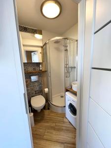W łazience znajduje się toaleta z prysznicem i umywalka. w obiekcie Sea View Apartament 5 min od morza w Gdańsku