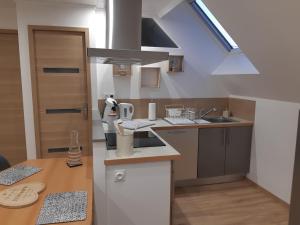 Кухня или мини-кухня в Studio cosy spacieux lumineux avec terrasse

