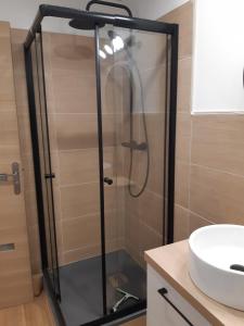 um chuveiro com uma porta de vidro ao lado de um lavatório em Studio cosy spacieux lumineux avec terrasse em Vézelois