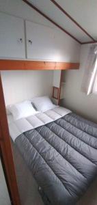 Gallery image of Chalet mobil-home in Pénestin