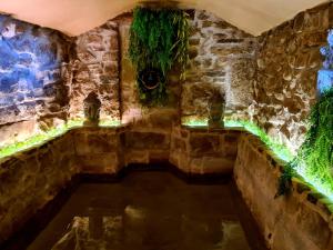 Vall de BianyaにあるHotel Rural & Spa Mas Pratの緑の照明付きのプールが備わるお部屋