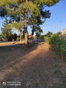 Fotografie z fotogalerie ubytování Al Vecchio Trullo v destinaci Campomarino