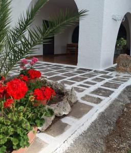 Fotografie z fotogalerie ubytování Al Vecchio Trullo v destinaci Campomarino