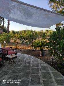 Zahrada ubytování Al Vecchio Trullo + 7 fotografií