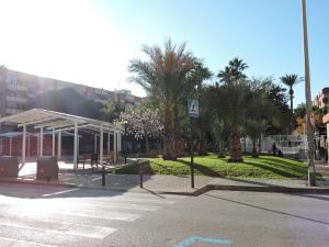 a bus stop with palm trees and a building at Apartamento Garcar in Murcia