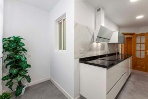 Kuchyňa alebo kuchynka v ubytovaní Apartamento Mariana Pineda Centro