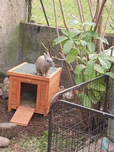 托农莱班Maison Le Lézard chez Amalia et Fred的相册照片