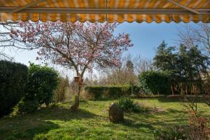 門迪希的住宿－FeWo Oasis，院子里一棵树,上面有粉红色的花