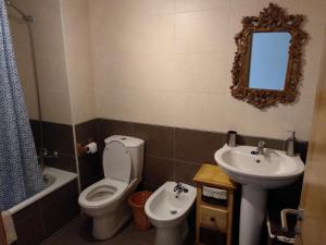 a bathroom with a toilet and a sink and a mirror at Apartamento con encanto in Boiro