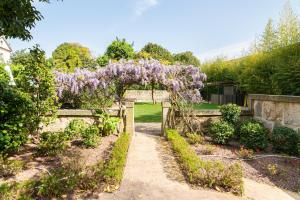 波多的住宿－Marquês Garden House by Olivia，花园中的紫藤拱门