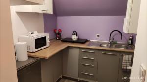 Kuchyňa alebo kuchynka v ubytovaní Apartament "Jeleń" Jelenia Góra - Cieplice
