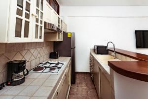 Kuchyň nebo kuchyňský kout v ubytování Fabiola Condo Hotel