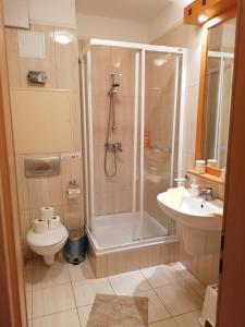 a bathroom with a shower and a toilet and a sink at Daniella Apartman in Bükfürdő