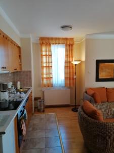 Kuchyňa alebo kuchynka v ubytovaní Daniella Apartmens