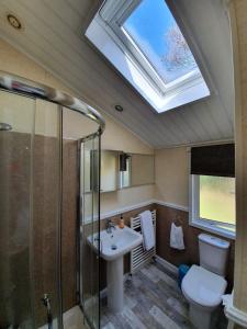 ein Badezimmer mit einem Waschbecken, einem WC und einem Dachfenster in der Unterkunft Holly Lodge in Ilfracombe
