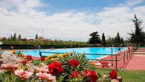a large swimming pool with flowers in the foreground at B&B Puente de Órbigo in Hospital de Órbigo