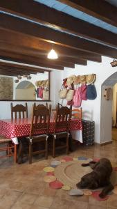 Fotografia z galérie ubytovania THE BLUE HOUSE OF COSTA BRAVA Leni's attic v destinácii Castelló d'Empúries