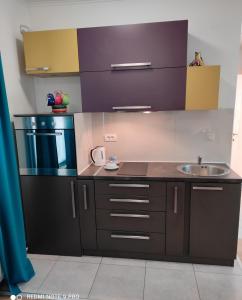 Una cocina o kitchenette en Apartman Centar