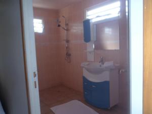 a bathroom with a sink and a shower at GITE LOCA in Capesterre