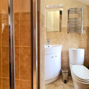 uma casa de banho com um WC, um lavatório e um chuveiro em Ta Mill Cottages & Lodges - Smithy Cottage em Launceston