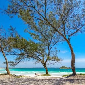uma praia com duas árvores e o oceano em Arraial do Cabo – Subuai Village - Aluguel Econômico em Arraial do Cabo