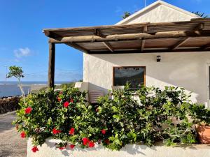 a bush of red flowers in front of a building at Casa Famara in Teguise