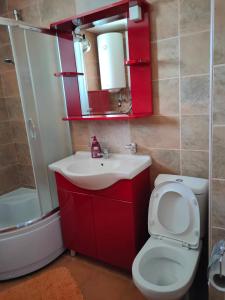La salle de bains est pourvue de toilettes, d'un lavabo et d'un miroir. dans l'établissement Jelena, à Banja Koviljača