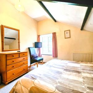 a bedroom with a bed and a dresser and a mirror at Ta Mill Cottages & Lodges - Pump Cottage in Launceston +43 photos