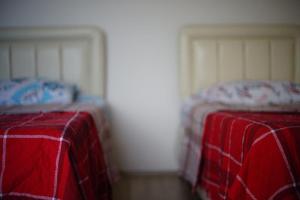 Postel nebo postele na pokoji v ubytování Altay Villa
