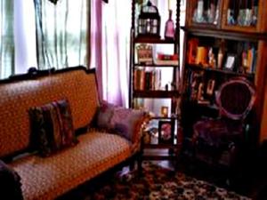 een woonkamer met een bank en een boekenplank bij Ducote-Williams House in Abbeville