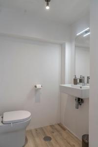 uma casa de banho com um WC e um lavatório em New Remodel & Garden - Entire House - EXCLUSIVE USE em Sassofortino